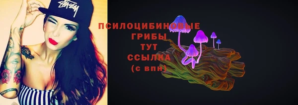гидра Барнаул