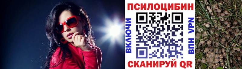 Купить  Лесосибирск  Галлюциногенные грибы прущие грибы 
